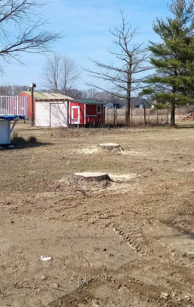 Cleared & Ground