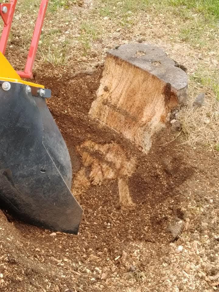 Stump Grinding